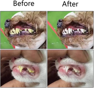 Zoxa Paws Pet Finger Toothbrush